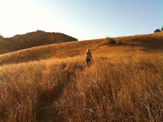 Cucamonga Trails